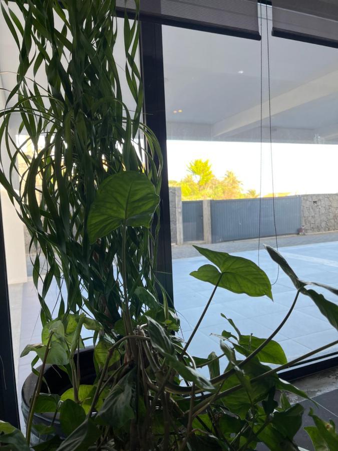 Apartament Crystal House Angra do Heroísmo Zewnętrze zdjęcie